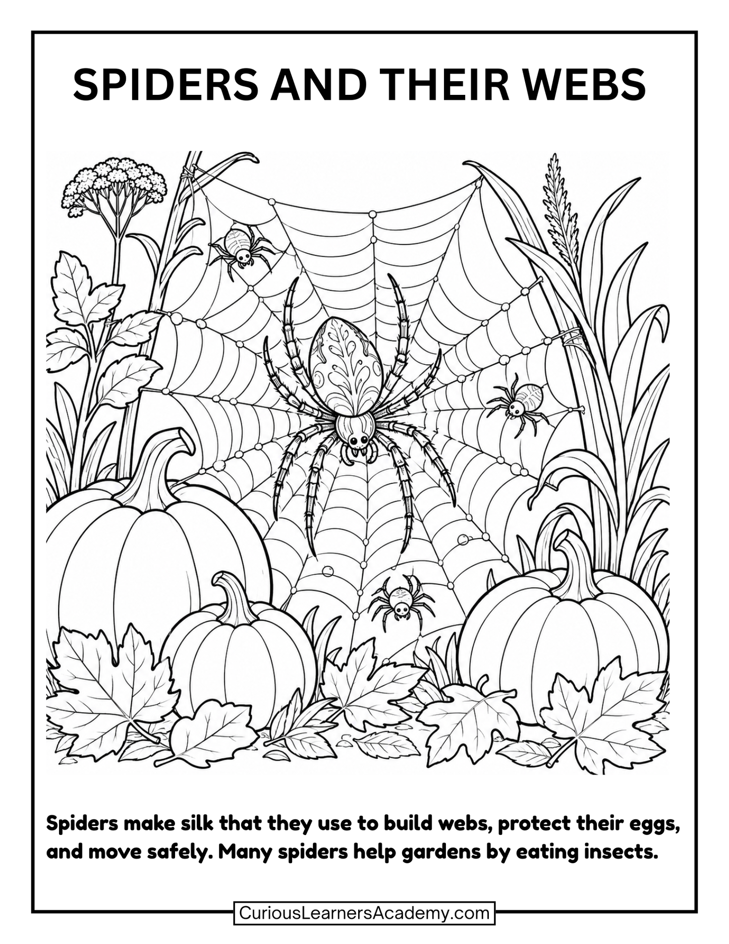 Free Spiders and Their Webs Coloring Page for Kids