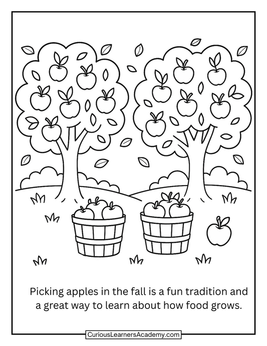 Free Apple Orchard Coloring Page | Fall Science Printable for Kids