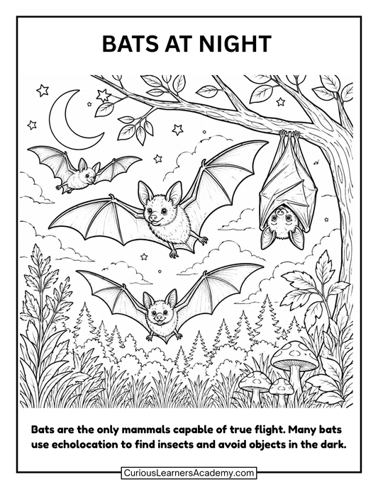 Free Bats at Night Coloring Page for Kids