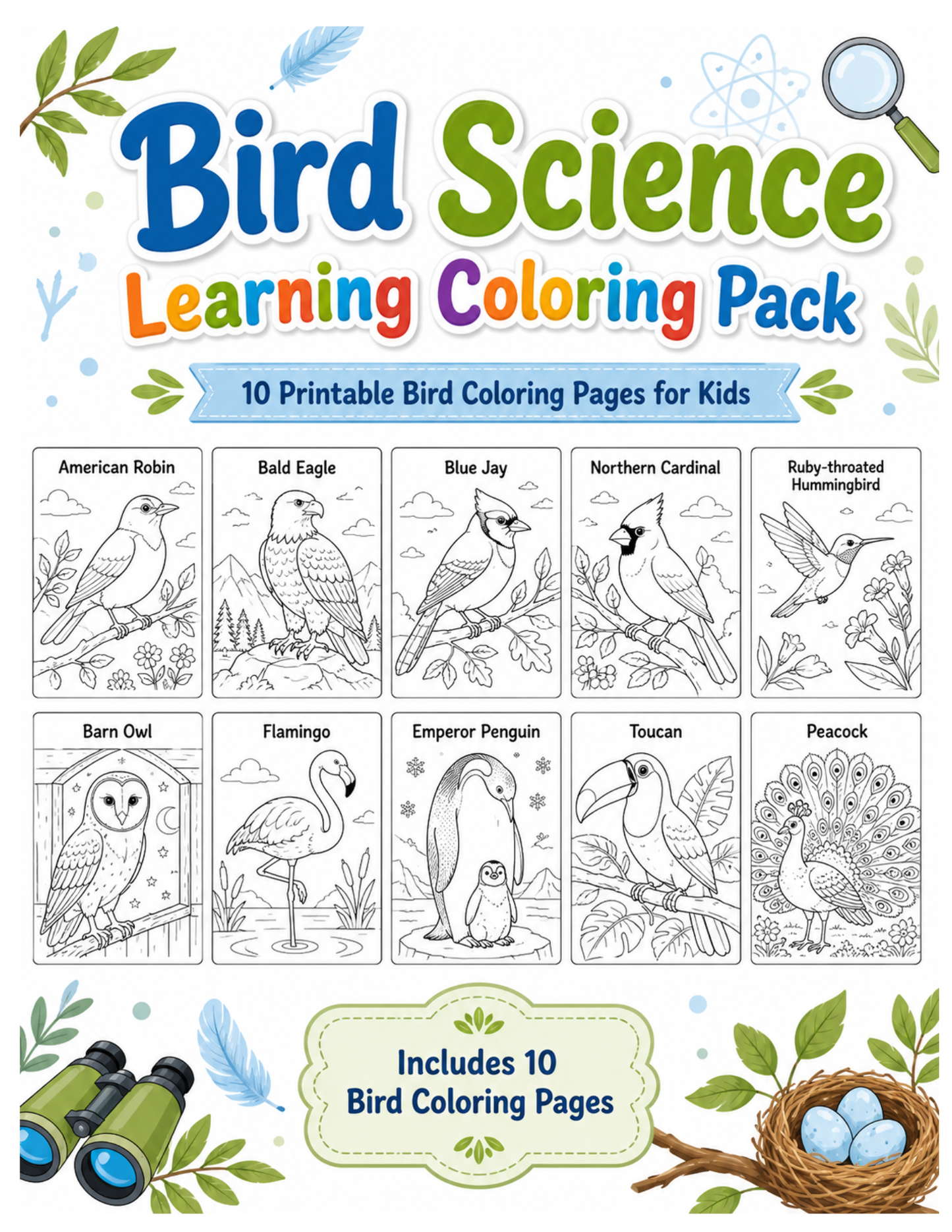 Bird Science Coloring Pages for Kids | Free Printable Bird Coloring Pack