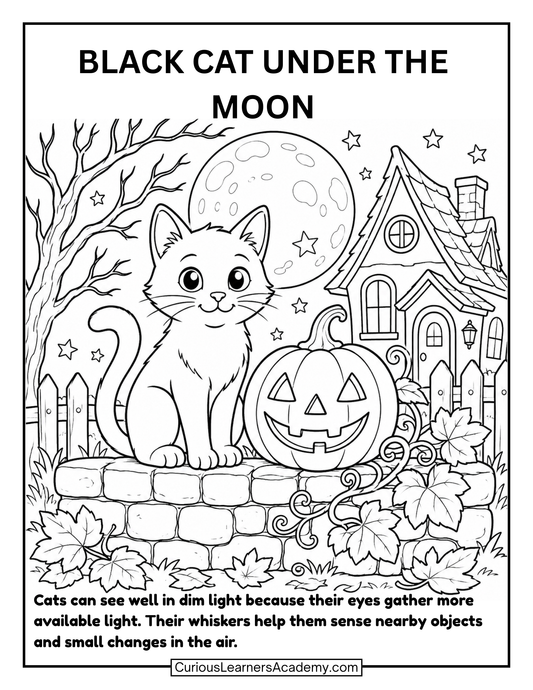 Free Black Cat Under the Moon Coloring Page for Kids