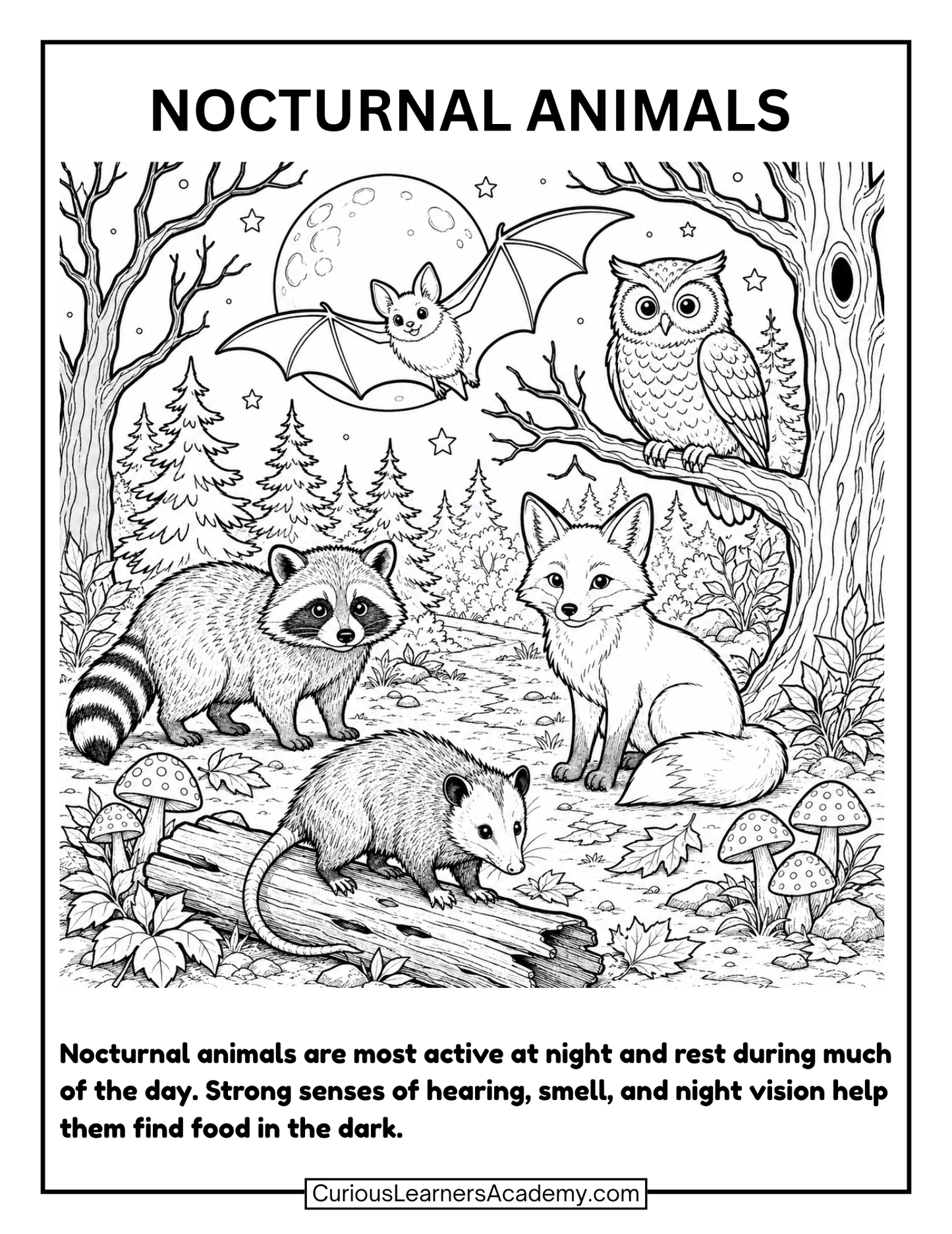 Free Halloween Nocturnal Animals Coloring Page for Kids