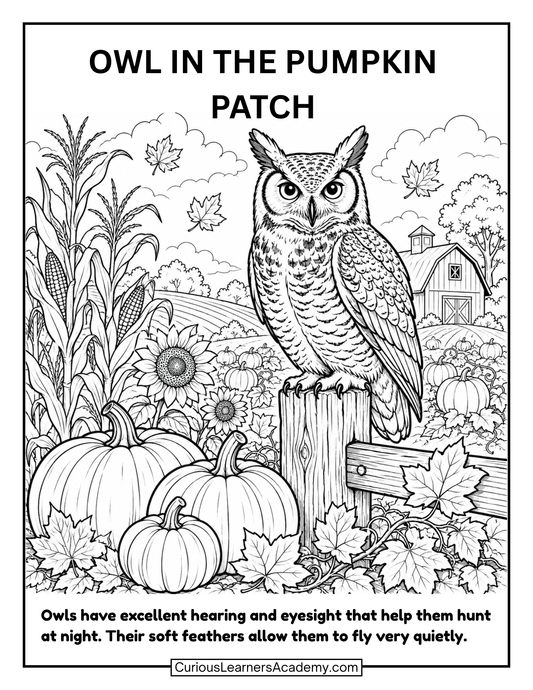 Free Owl in the Pumpkin Patch Coloring Page for Kids
