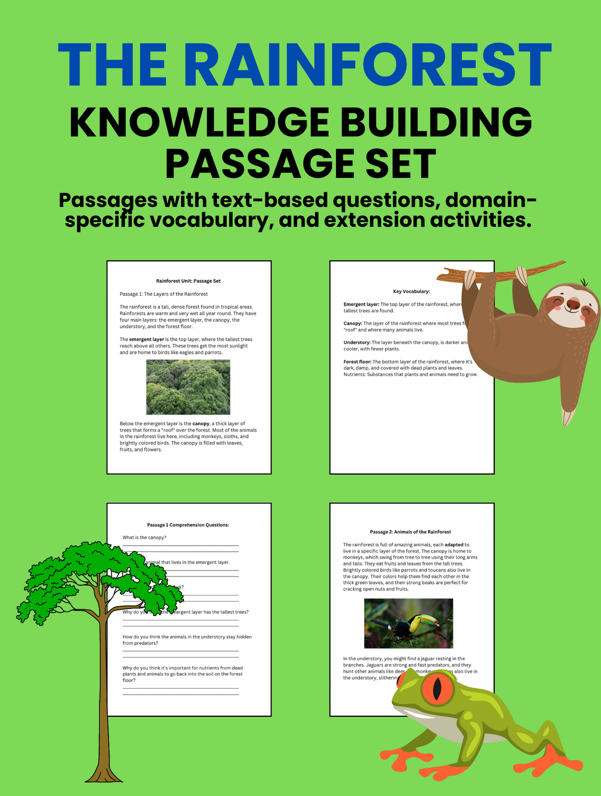 Rainforest Knowledge Building Passage Set and Comprehension Questions ...