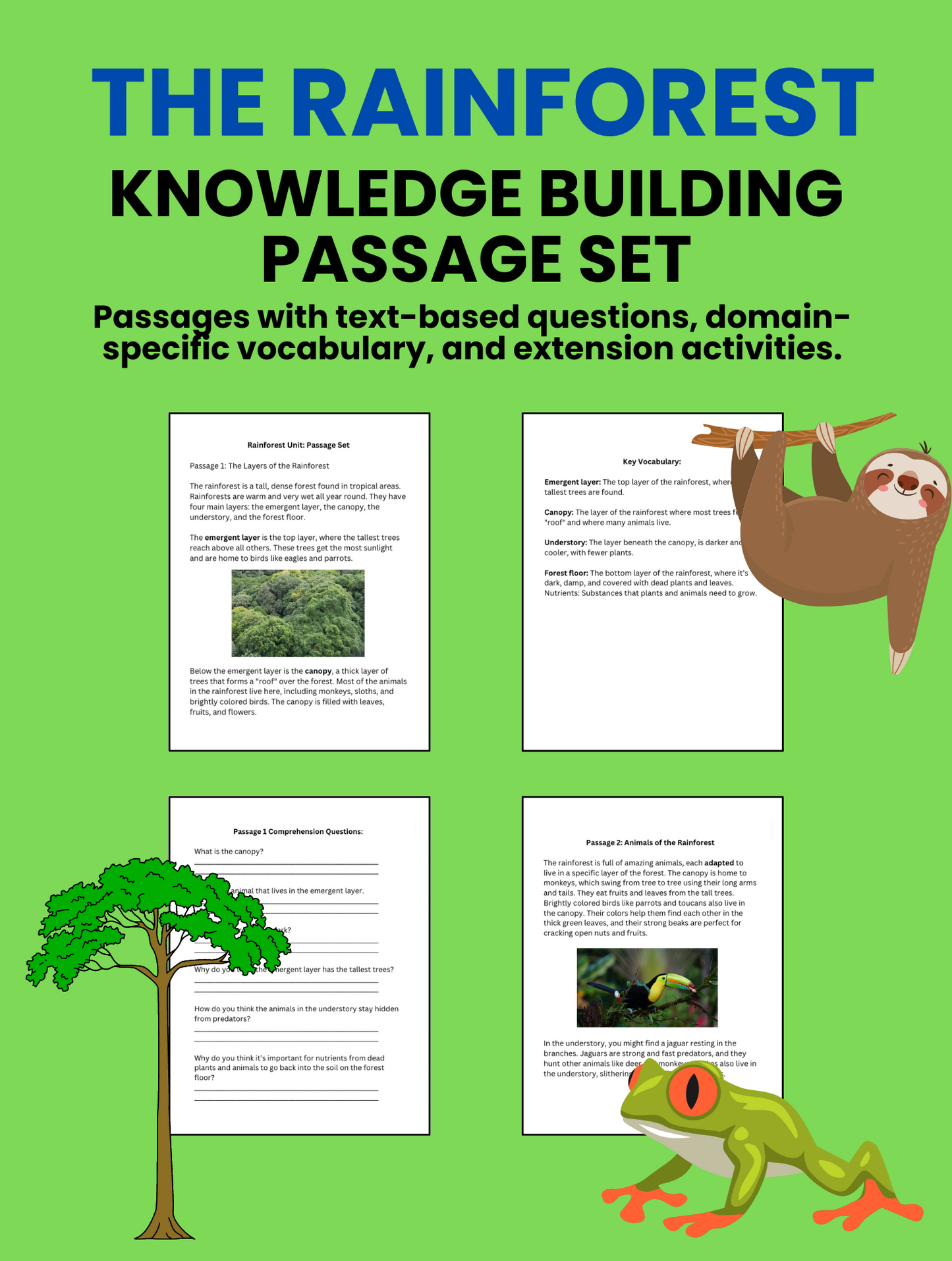 Rainforest Knowledge Building Passage Set and Comprehension Questions