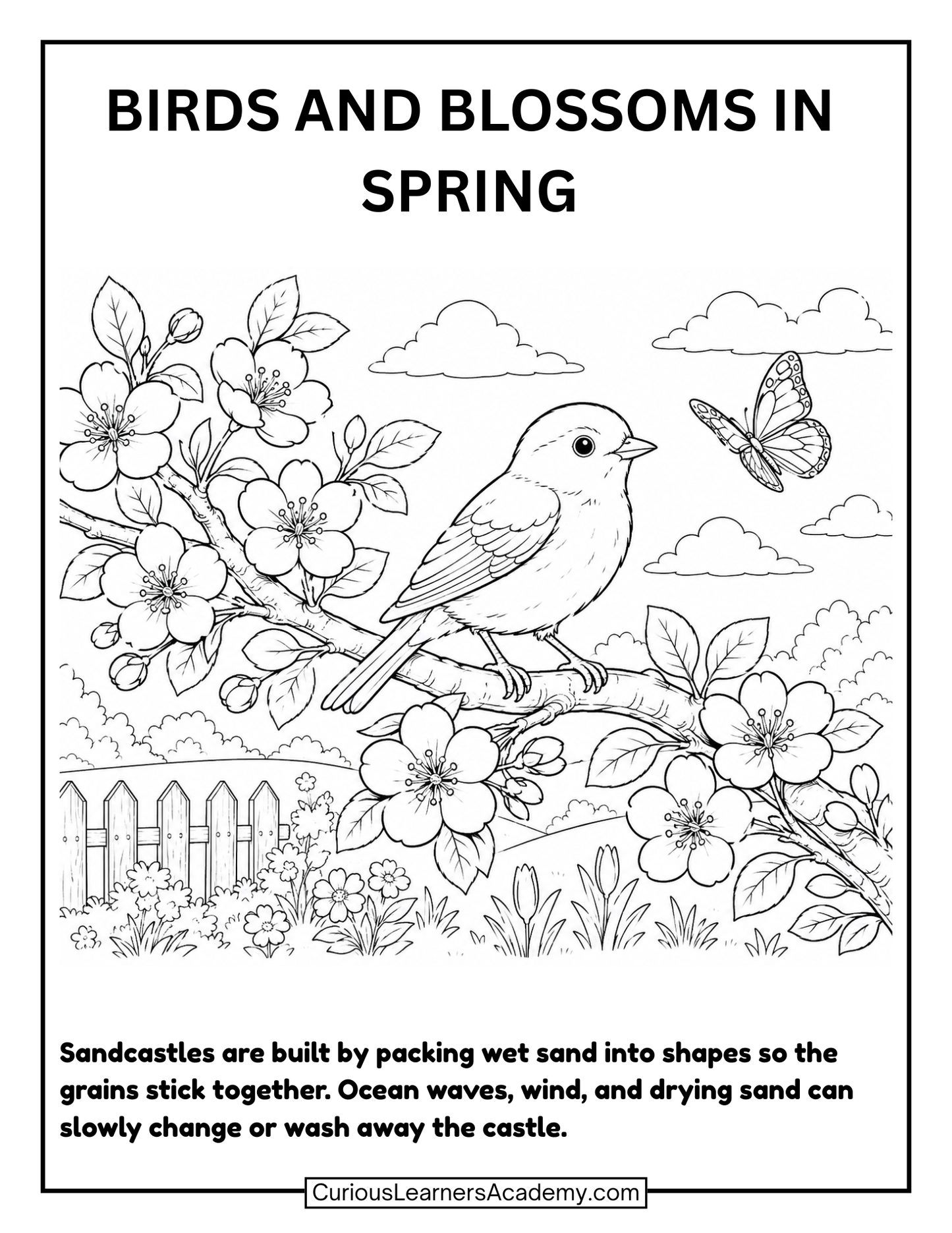 Free Spring Birds and Blossoms Coloring Page for Kids