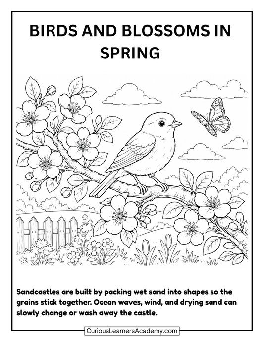 Free Spring Birds and Blossoms Coloring Page for Kids