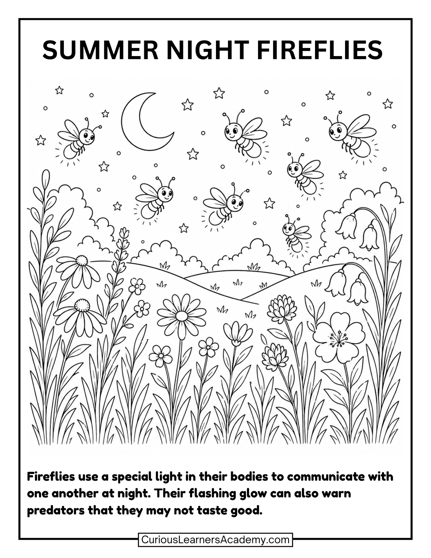 Free Summer Night Fireflies Coloring Page for Kids