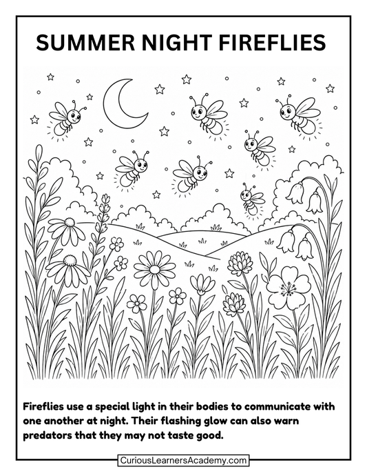 Free Summer Night Fireflies Coloring Page for Kids